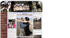 Desktop Screenshot of hudsonsmalamutes.com