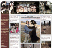 Tablet Screenshot of hudsonsmalamutes.com